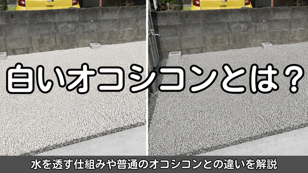 白いオコシコンとは？水を透す仕組みや普通のオコシコンとの違いを解説