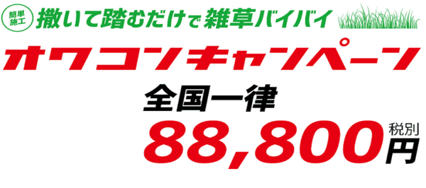 「絶賛バズり中のオワコン888キャンペーン特設ページが完成しました」