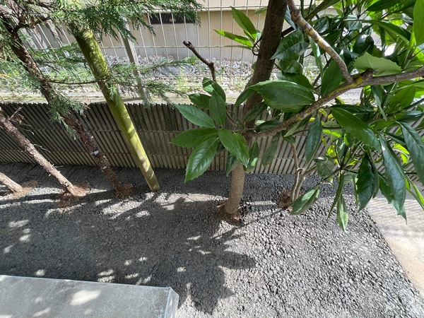 【神奈川】「雑草は抜く、絶対生えさせん。でも植栽（樹木や草花）には生き生きと成長してほしい」東京テクノ・コンクリートサロン