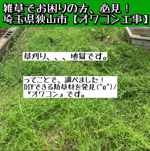379C5C0E-D485-4E9D-992F-62AA8C40F743.jpeg