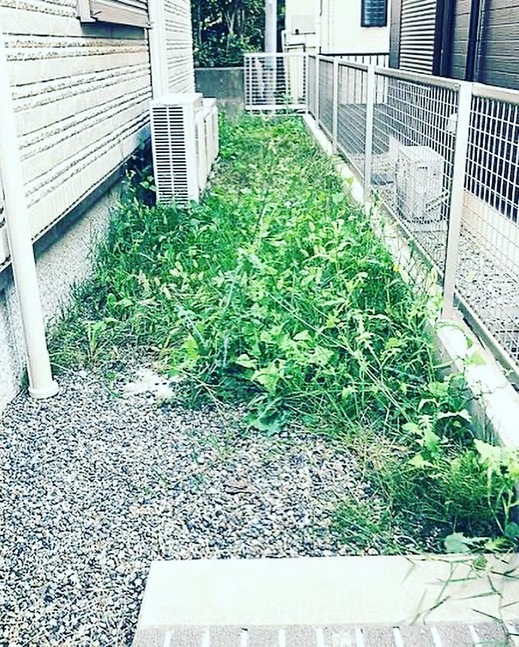 6C490359-5311-49F0-96E7-2B94F075399C.jpeg