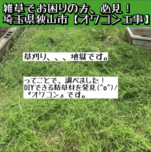 CF9A4473-B394-4107-9928-7D2362D0E94A.jpeg