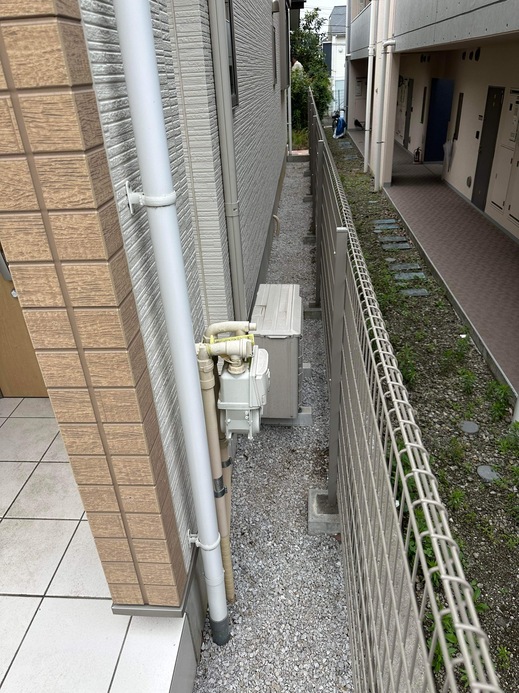 IMG_1427.jpeg