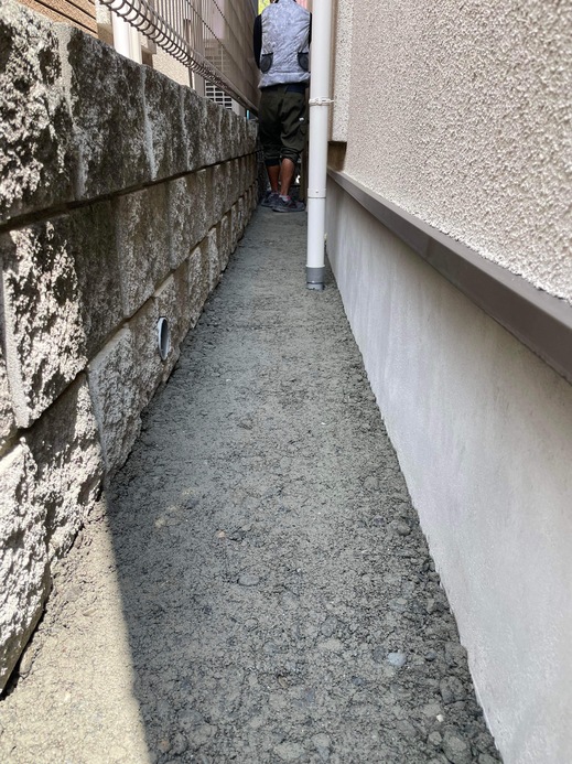 IMG_2526.jpeg
