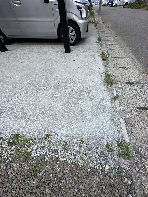 IMG_3205.jpeg