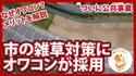 【公共事業に採用】市の防草対策でオワコンが採用！なぜオワコン？メリットの解説【動画】