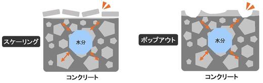 IMG_3021.jpeg