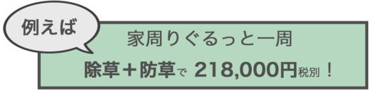 IMG_8264.png