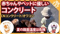 【コンクリート講座】コンクリート、オワコンは路面温度が低くなる。赤ちゃんやペットに優しい話。【打ち水効果】