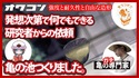 オワコンを紙粘土のようにあれこれいじってたら出来ました【亀の池】
