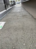 ゴールデンウィーク始まり！ 足元もしっかり オワコン®︎ で固めて今年こそ草抜きから解放されましょう