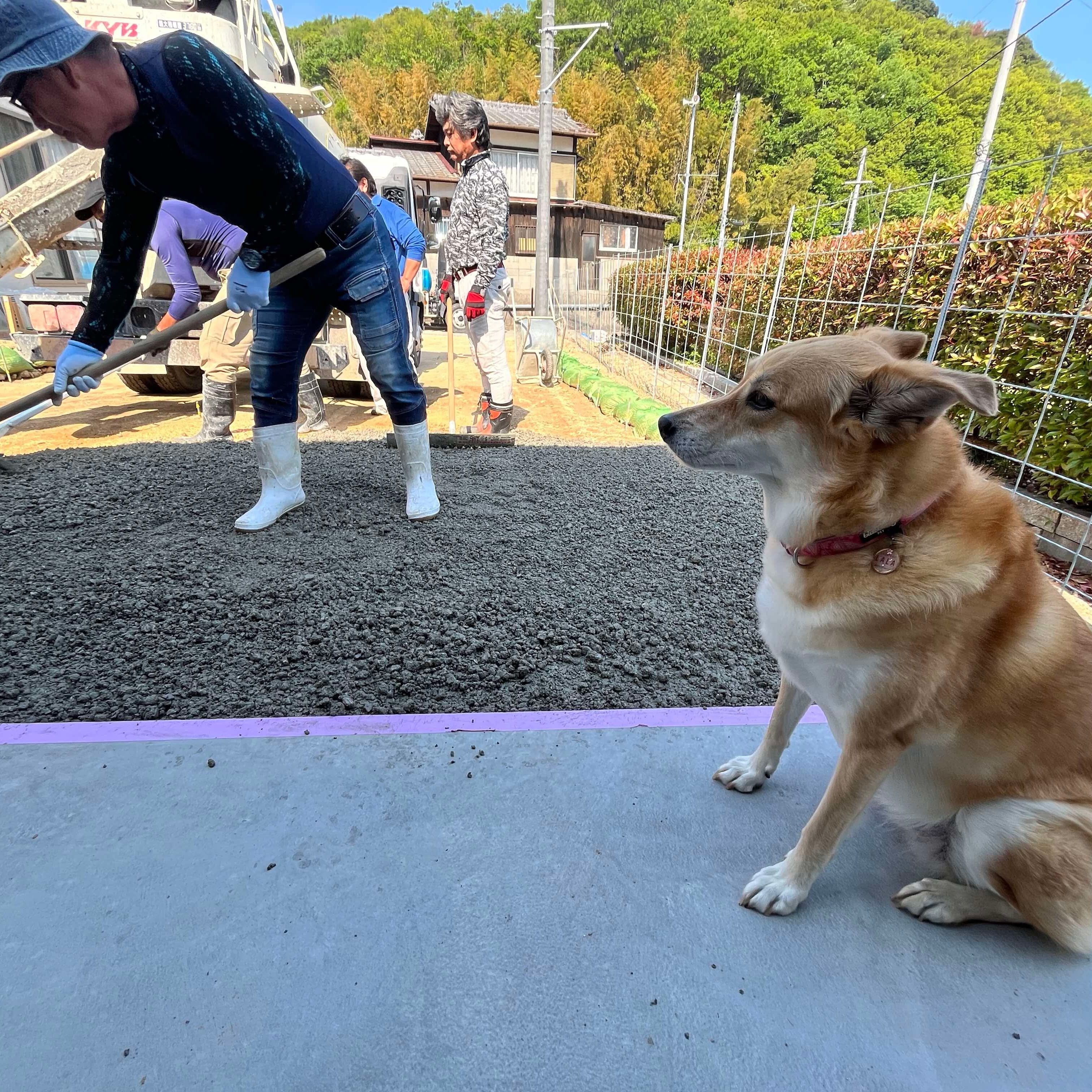 ただでさえ【安い】のにご家族ご友人で作業をすればそこからさらに【半額】になる方法をお伝えします