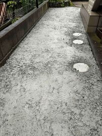 【簡易見積】ぬかるみ、水たまり、雑草etc.. 【オワコン】よく目にするけど【コンクリート】工事ってちょっと敷居が高い？
