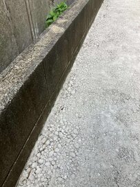 隙間から生えてくる雑草はわかっててもちょっと残念 【リペアマン】 はどんな小さな隙間も許しません