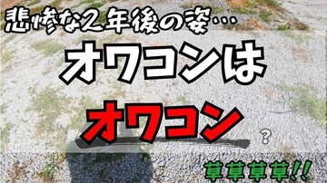 「ちょっとヒヤリとしました汗」【DIY】オワコン施工から2年！耐久性と防草効果を検証！！【マイホーム】【外構】【コンクリート】