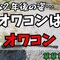 「ちょっとヒヤリとしました汗」【DIY】オワコン施工から2年！耐久性と防草効果を検証！！【マイホーム】【外構】【コンクリート】