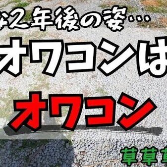 「ちょっとヒヤリとしました汗」【DIY】オワコン施工から2年！耐久性と防草効果を検証！！【マイホーム】【外構】【コンクリート】