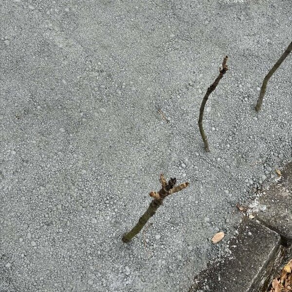 生コン工場から袋詰めまで多様な流通（ホームセンター/ネットショップ/ハウスメーカーなど）に対応【オワコン®︎まさ固®︎】