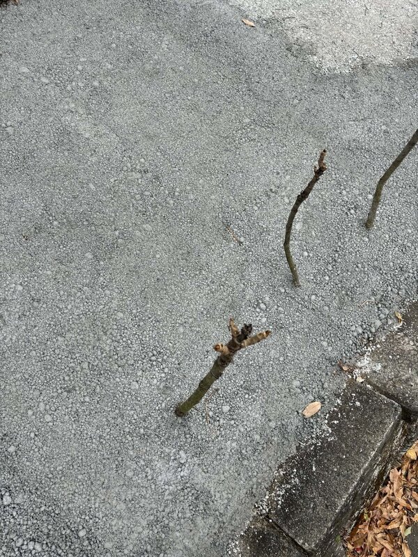 生コン工場から袋詰めまで多様な流通（ホームセンター/ネットショップ/ハウスメーカーなど）に対応【オワコン®︎まさ固®︎】