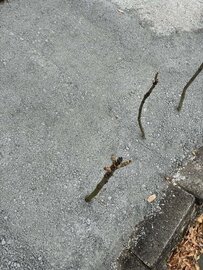 生コン工場から袋詰めまで多様な流通（ホームセンター/ネットショップ/ハウスメーカーなど）に対応【オワコン®︎まさ固®︎】