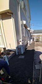 もうすぐ春ですね【オワコン®︎まさ固®︎】生活周りの困りごと（雑草、凸凹、水たまり、害虫、猫の糞害、ぬかるみetc）解消