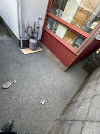 雑草、水たまり、ぬかるみ、段差、凹凸、砂利の散乱、猫の糞害、害虫etc...【土間コン™︎】で一挙解決