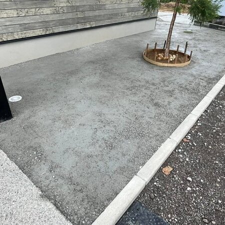 人工芝を剥がしてみたらソコは虫たちの楽園でした。ムカデもデカいのが数匹