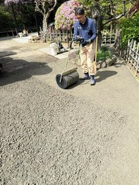 裸の地面は自然だけれど人が暮らすには何かと不便がつきまとう 雑草 ぬかるみ 水たまり