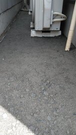 ダップルスさんも【庭コン】で見つかる。家周りの問題解消【土間コン™︎】相談相手の探し方