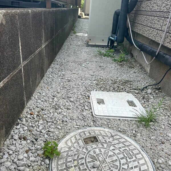 草生えて来たけど想定内やってよかった
