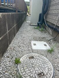 草生えて来たけど想定内やってよかった