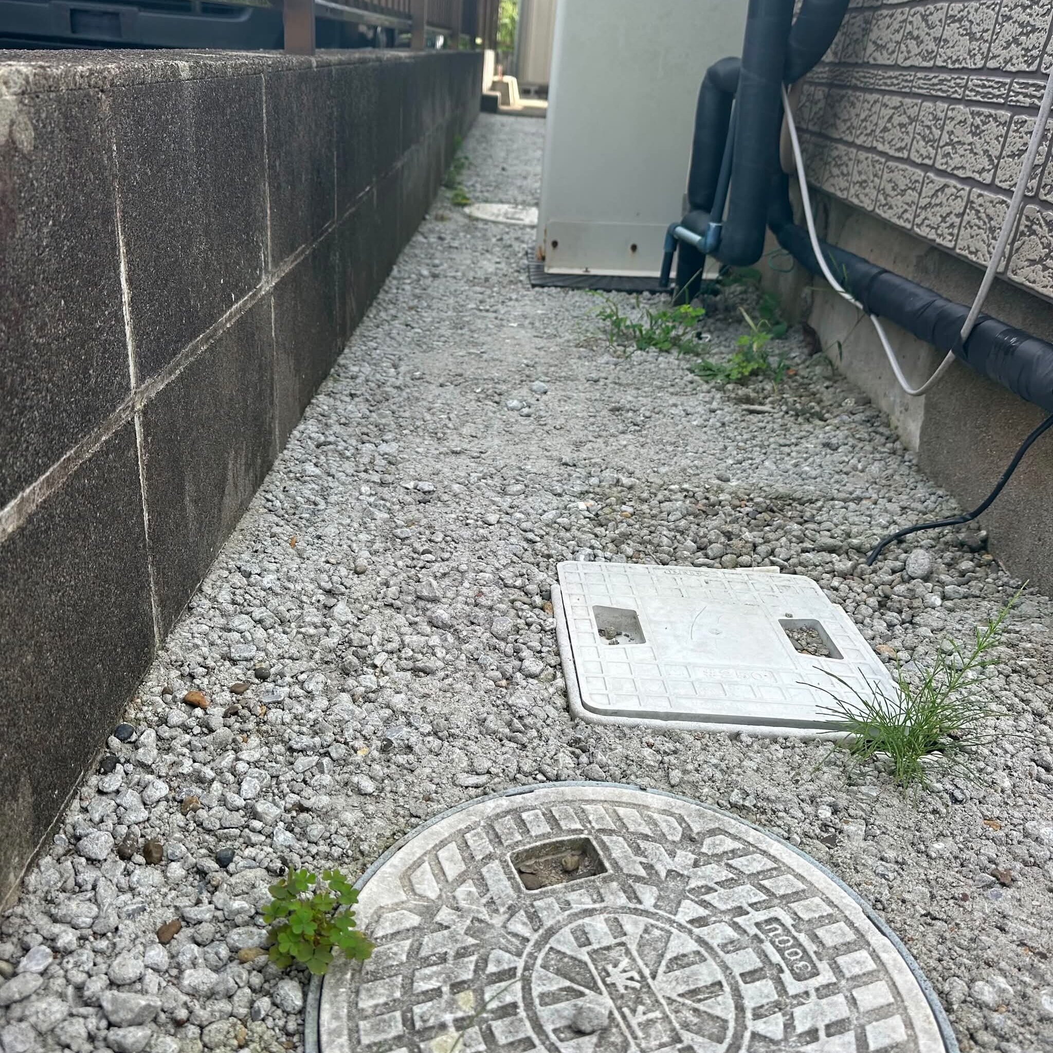 草生えて来たけど想定内やってよかった
