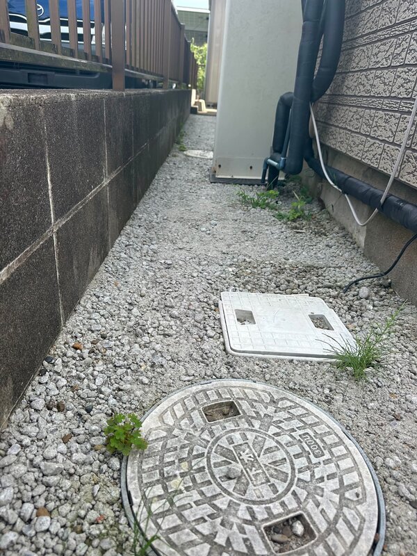 草生えて来たけど想定内やってよかった