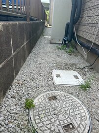 草生えて来たけど想定内やってよかった