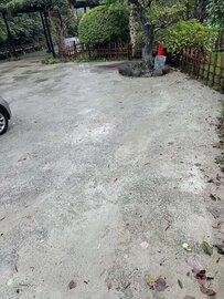 近くで実物見れないの？