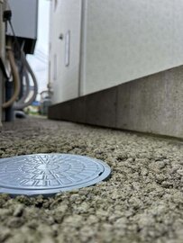 半年後 草生えてこないのかな？
