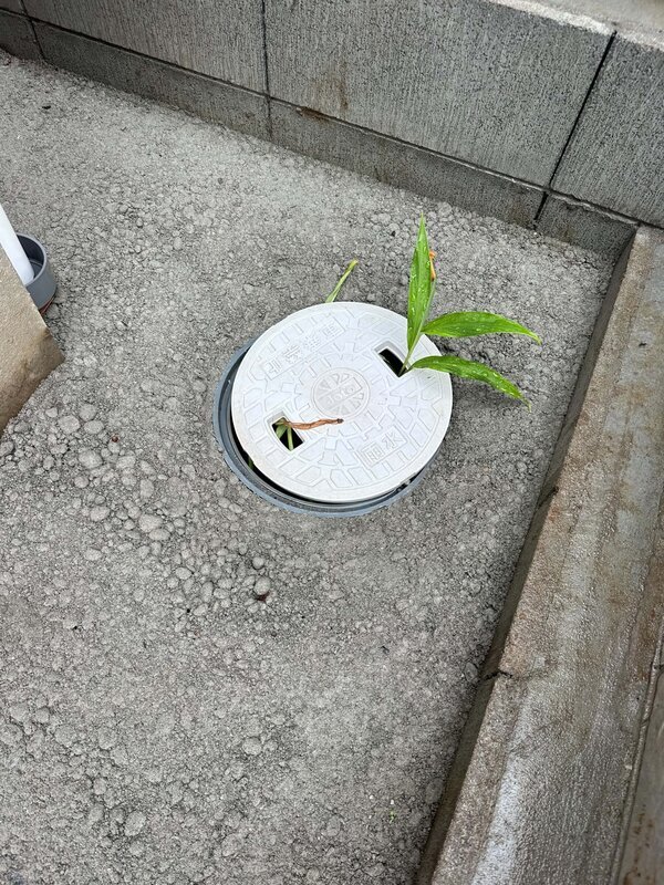 隙間に土溜まって草生えたりしない？
