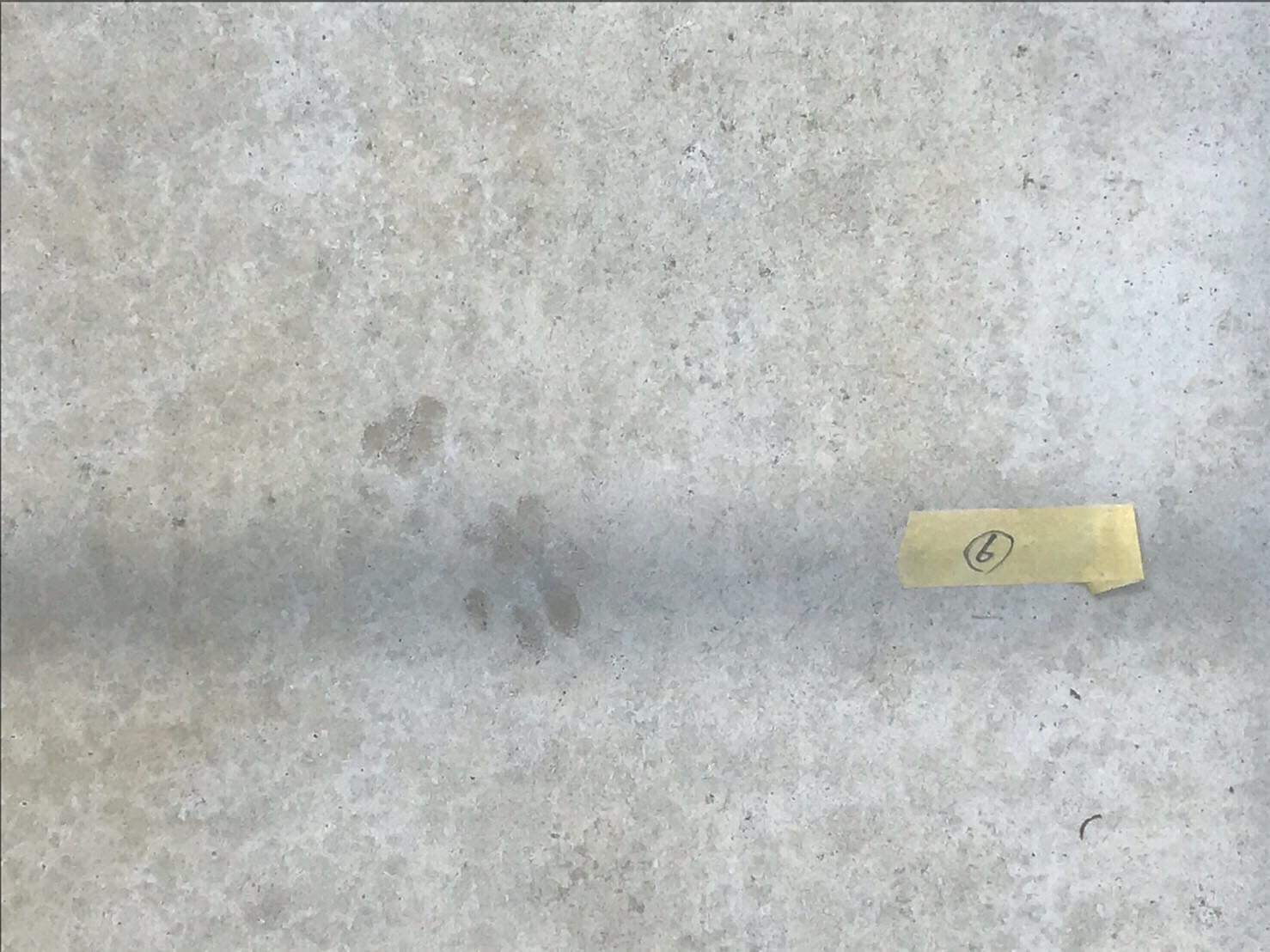 仔猫ちゃんにめろめろの土間コンクリート 打ち放しペイント で足跡を消せ コンクリート打ちっ放し色合わせ補修のrcトータルサポート 生コンポータル