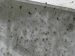 sindan_r1_D03syasin-1.jpg