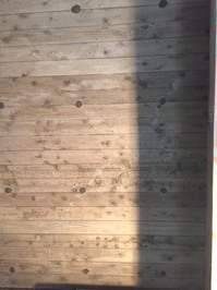 S__12959769.jpg