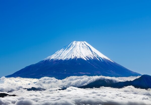 コンクリート壁面に出るなぞの模様の正体