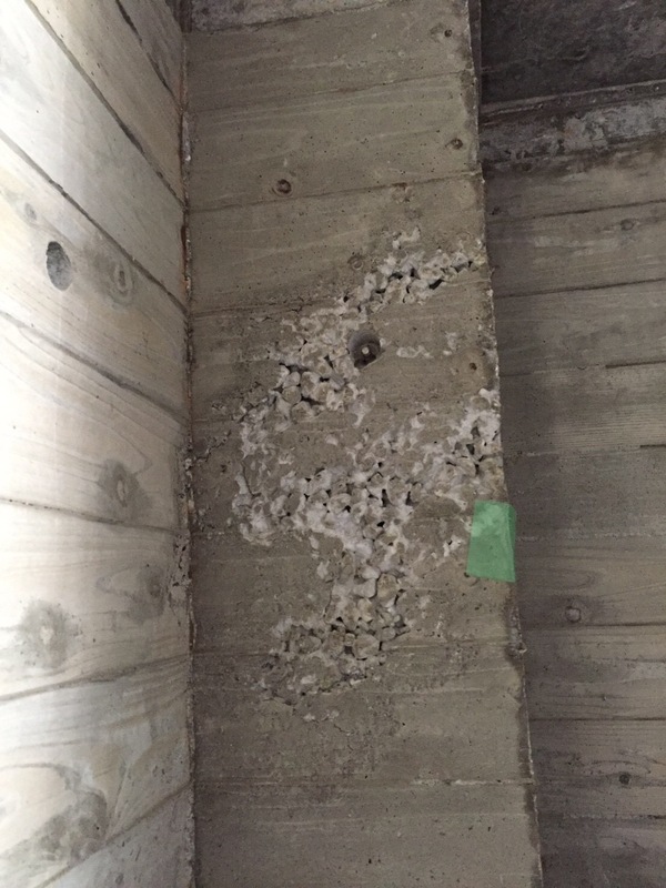 神奈川県杉板コンクリート打ち放しジャンカ補修工事