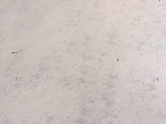 17121313_902132686555731_1347664614_o.jpg