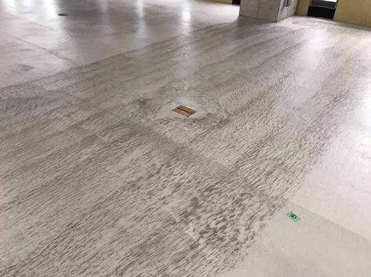 18553948_1415874628502906_933808911_o.jpg