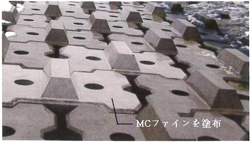 mcfinegazou2.jpg