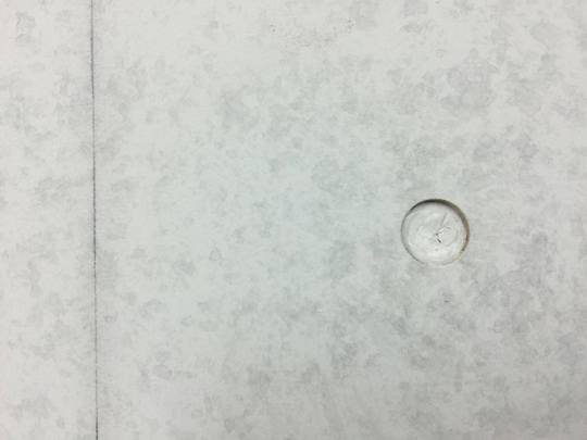 23732355_1094396497329348_658545852_o.jpg