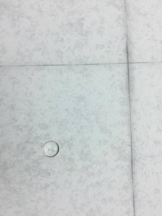 23757559_1094396667329331_1607207651_o.jpg