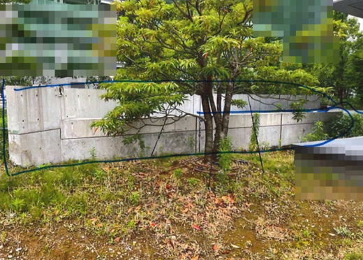 D2151D7A-F421-4B18-9D37-1DC72D83689B.png