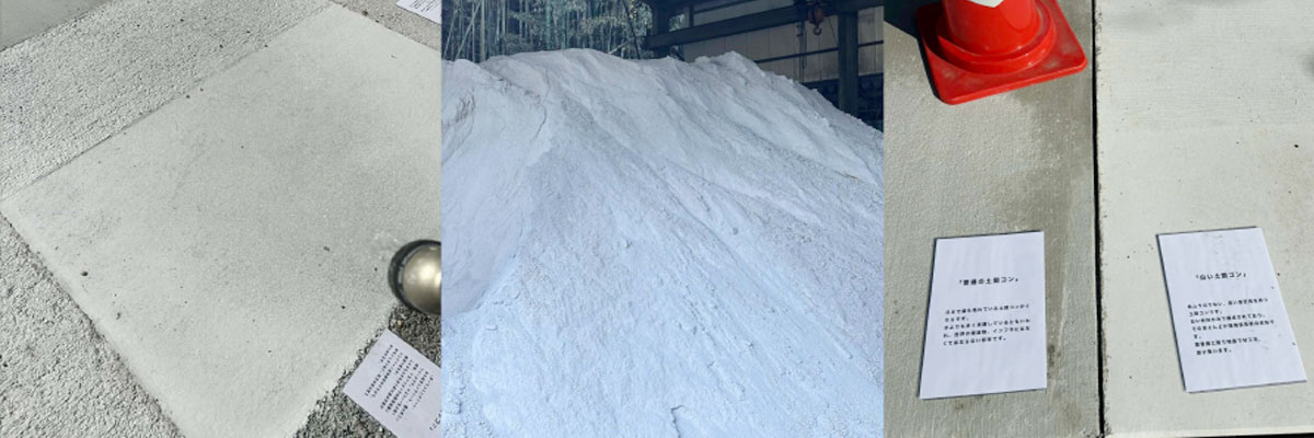 ナマコンバレー展示場 - 白い土間コンの実物展示