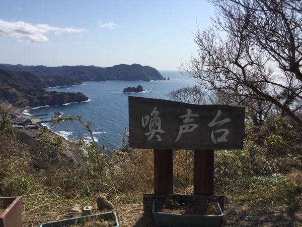 Izu Peninsula, lesser known destination you must see in Japan (part 4)